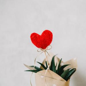 女人穿内衣被操
